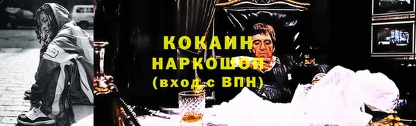 индика Пролетарск