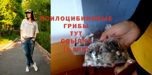 сатива Верхнеуральск