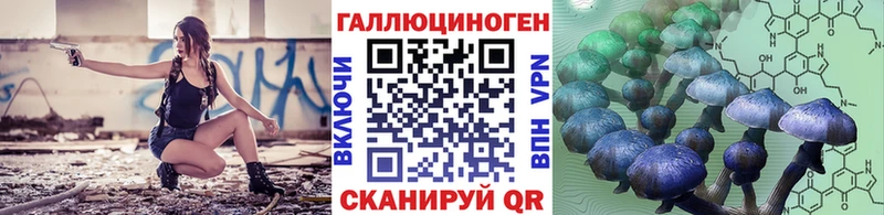 Галлюциногенные грибы Magic Shrooms где продают наркотики Кашин